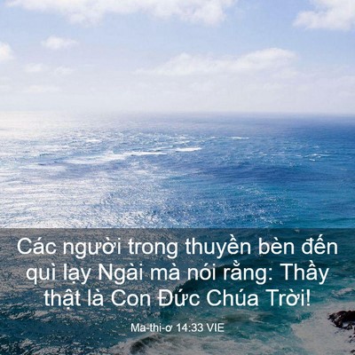 Picture 03 - Ma-thi-ơ 14:33 VIE - Các người trong thuyền bèn đến quì - Bible Verse Picture