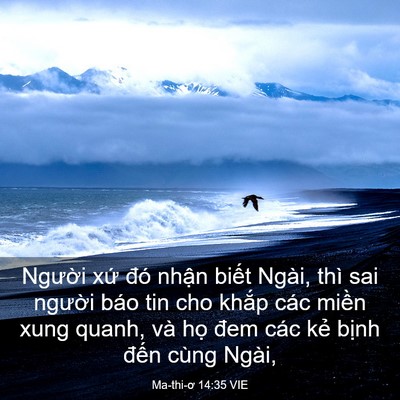 Picture 03 - Ma-thi-ơ 14:35 VIE - Người xứ đó nhận biết Ngài, thì sai - Bible Verse Picture