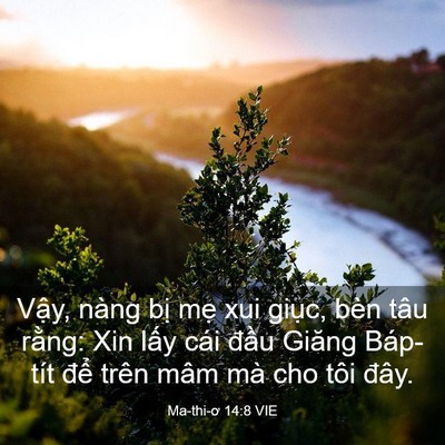 Picture 03 - Ma-thi-ơ 14:8 VIE - Vậy, nàng bị mẹ xui giục, bèn tâu - Bible Verse Picture