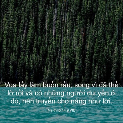 Picture 03 - Ma-thi-ơ 14:9 VIE - Vua lấy làm buồn rầu; song vì đã thề - Bible Verse Picture