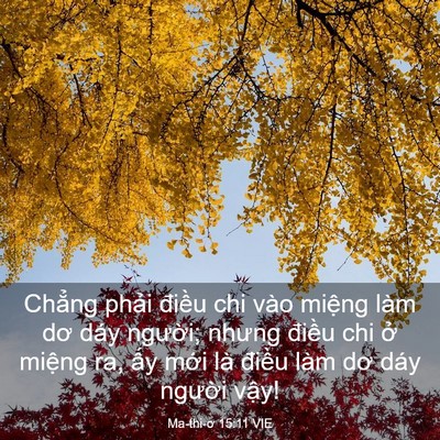 Picture 03 - Ma-thi-ơ 15:11 VIE - Chẳng phải điều chi vào miệng làm dơ - Bible Verse Picture