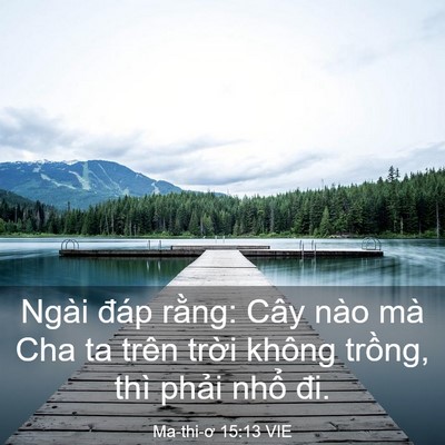 Picture 03 - Ma-thi-ơ 15:13 VIE - Ngài đáp rằng: Cây nào mà Cha ta trên - Bible Verse Picture
