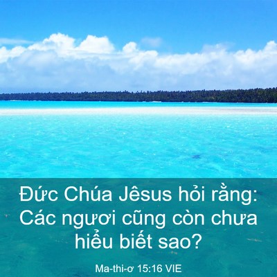 Picture 03 - Ma-thi-ơ 15:16 VIE - Đức Chúa Jêsus hỏi rằng: Các ngươi - Bible Verse Picture