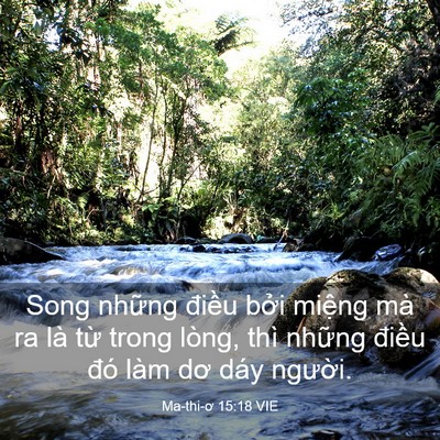 Picture 03 - Ma-thi-ơ 15:18 VIE - Song những điều bởi miệng mà ra là - Bible Verse Picture