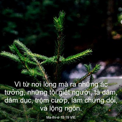 Picture 03 - Ma-thi-ơ 15:19 VIE - Vì từ nơi lòng mà ra những ác tưởng, - Bible Verse Picture