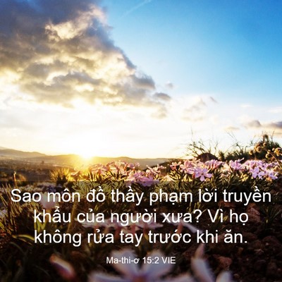 Picture 03 - Ma-thi-ơ 15:2 VIE - Sao môn đồ thầy phạm lời truyền - Bible Verse Picture