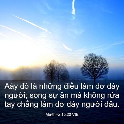 Picture 03 - Ma-thi-ơ 15:20 VIE - Aáy đó là những điều làm dơ dáy - Bible Verse Picture