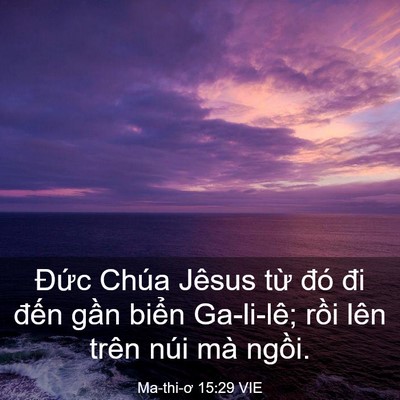 Picture 03 - Ma-thi-ơ 15:29 VIE - Đức Chúa Jêsus từ đó đi đến gần - Bible Verse Picture