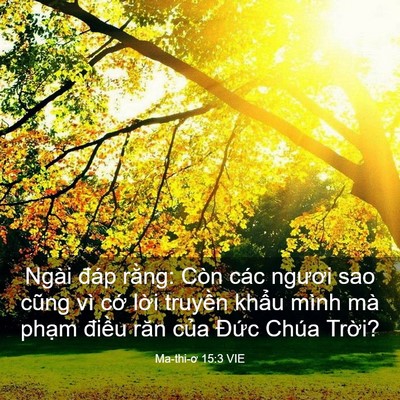 Picture 03 - Ma-thi-ơ 15:3 VIE - Ngài đáp rằng: Còn các ngươi sao cũng - Bible Verse Picture
