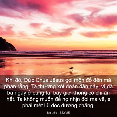 Picture 03 - Ma-thi-ơ 15:32 VIE - Khi đó, Đức Chúa Jêsus gọi môn đồ - Bible Verse Picture