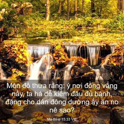 Picture 03 - Ma-thi-ơ 15:33 VIE - Môn đồ thưa rằng: ỳ nơi đồng vắng - Bible Verse Picture