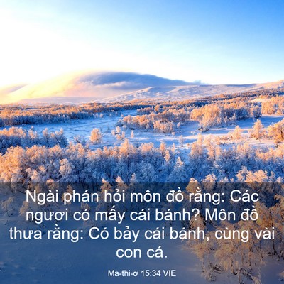 Picture 03 - Ma-thi-ơ 15:34 VIE - Ngài phán hỏi môn đồ rằng: Các ngươi - Bible Verse Picture
