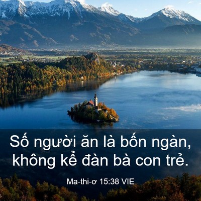 Picture 03 - Ma-thi-ơ 15:38 VIE - Số người ăn là bốn ngàn, không kể - Bible Verse Picture