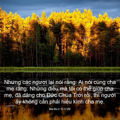 Picture 03 - Ma-thi-ơ 15:5 VIE - Nhưng các ngươi lại nói rằng: Ai nói - Bible Verse Picture