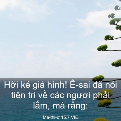 Picture 03 - Ma-thi-ơ 15:7 VIE - Hỡi kẻ giả hình! Ê-sai đã nói tiên - Bible Verse Picture