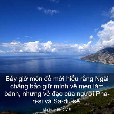 Picture 03 - Ma-thi-ơ 16:12 VIE - Bấy giờ môn đồ mới hiểu rằng Ngài - Bible Verse Picture