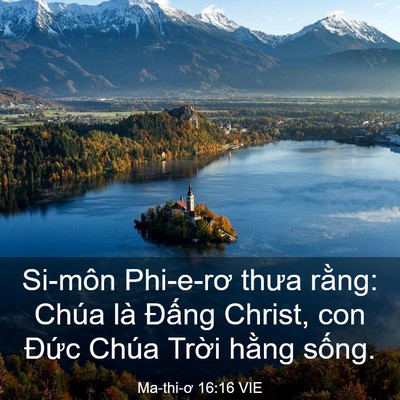 Picture 03 - Ma-thi-ơ 16:16 VIE - Si-môn Phi-e-rơ thưa rằng: Chúa là Đấng - Bible Verse Picture