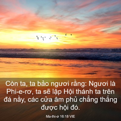 Picture 03 - Ma-thi-ơ 16:18 VIE - Còn ta, ta bảo ngươi rằng: Ngươi là - Bible Verse Picture