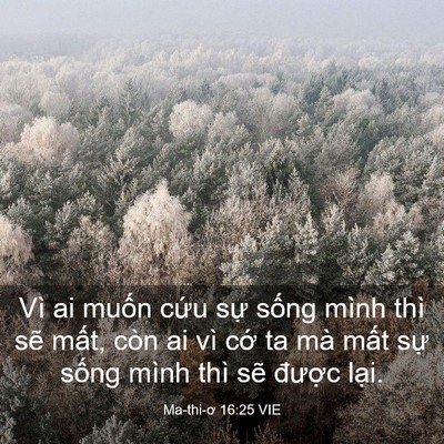 Picture 03 - Ma-thi-ơ 16:25 VIE - Vì ai muốn cứu sự sống mình thì sẽ - Bible Verse Picture