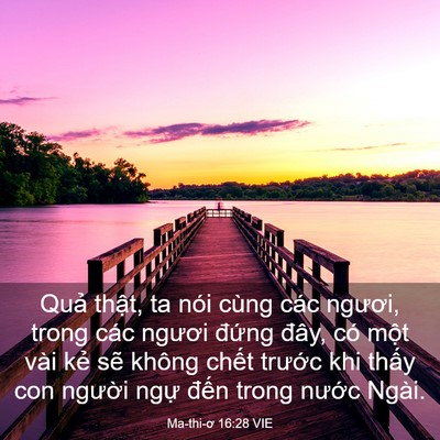 Picture 03 - Ma-thi-ơ 16:28 VIE - Quả thật, ta nói cùng các ngươi, trong - Bible Verse Picture