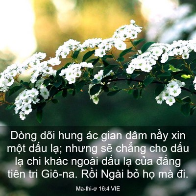 Picture 03 - Ma-thi-ơ 16:4 VIE - Dòng dõi hung ác gian dâm nầy xin một - Bible Verse Picture