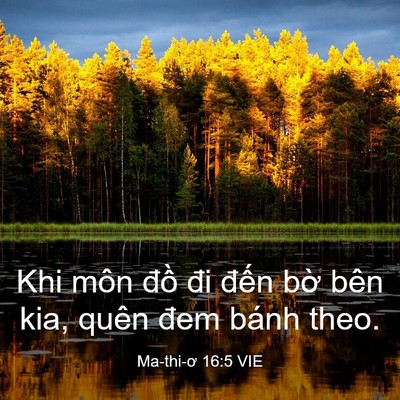 Picture 03 - Ma-thi-ơ 16:5 VIE - Khi môn đồ đi đến bờ bên kia, quên - Bible Verse Picture
