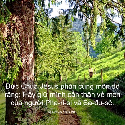 Picture 03 - Ma-thi-ơ 16:6 VIE - Đức Chúa Jêsus phán cùng môn đồ - Bible Verse Picture
