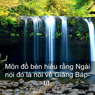 Picture 03 - Ma-thi-ơ 17:13 VIE - Môn đồ bèn hiểu rằng Ngài nói đó là - Bible Verse Picture