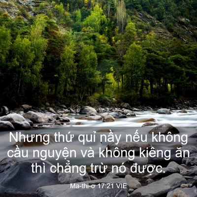 Picture 03 - Ma-thi-ơ 17:21 VIE - Nhưng thứ quỉ nầy nếu không cầu - Bible Verse Picture