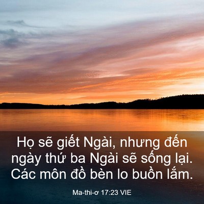 Picture 03 - Ma-thi-ơ 17:23 VIE - Họ sẽ giết Ngài, nhưng đến ngày thứ - Bible Verse Picture