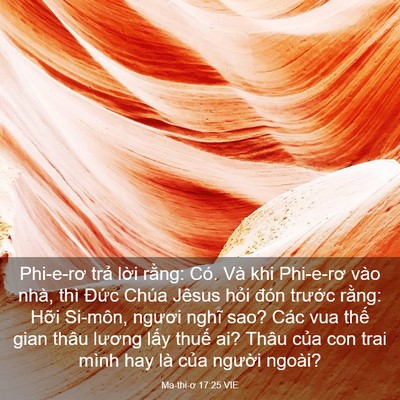 Picture 03 - Ma-thi-ơ 17:25 VIE - Phi-e-rơ trả lời rằng: Có. Và khi - Bible Verse Picture