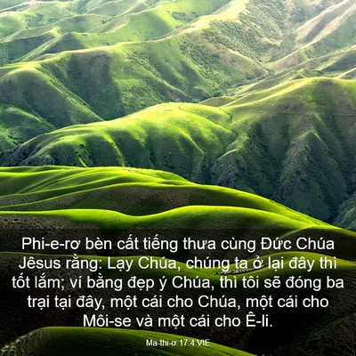 Picture 03 - Ma-thi-ơ 17:4 VIE - Phi-e-rơ bèn cất tiếng thưa cùng Đức - Bible Verse Picture