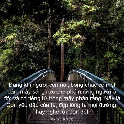 Picture 03 - Ma-thi-ơ 17:5 VIE - Đang khi người còn nói, bỗng chúc có - Bible Verse Picture