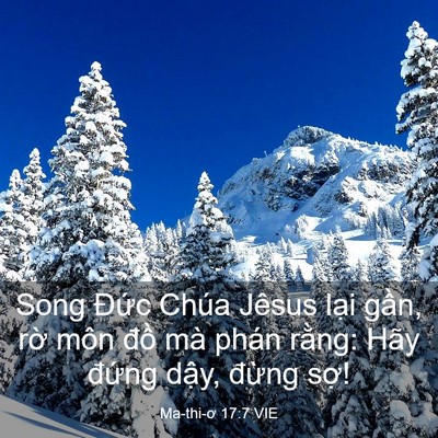 Picture 03 - Ma-thi-ơ 17:7 VIE - Song Đức Chúa Jêsus lại gần, rờ môn - Bible Verse Picture