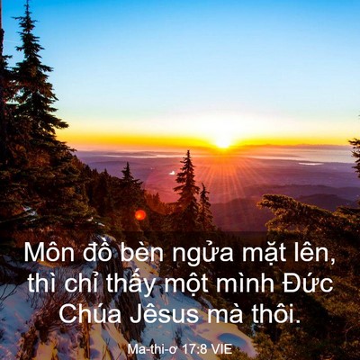 Picture 03 - Ma-thi-ơ 17:8 VIE - Môn đồ bèn ngửa mặt lên, thì chỉ - Bible Verse Picture