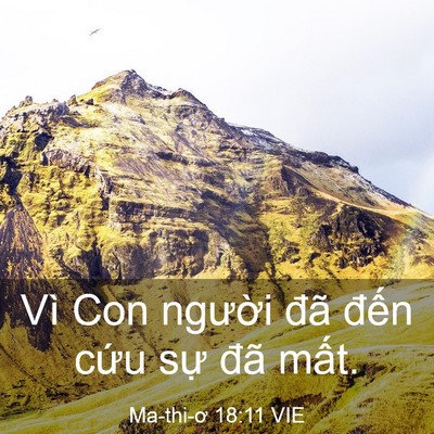 Picture 03 - Ma-thi-ơ 18:11 VIE - Vì Con người đã đến cứu sự đã - Bible Verse Picture
