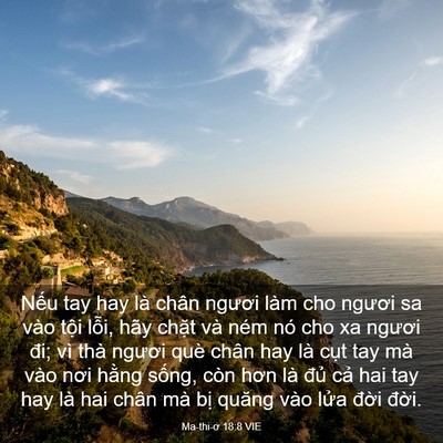 Picture 03 - Ma-thi-ơ 18:8 VIE - Nếu tay hay là chân ngươi làm cho ngươi - Bible Verse Picture