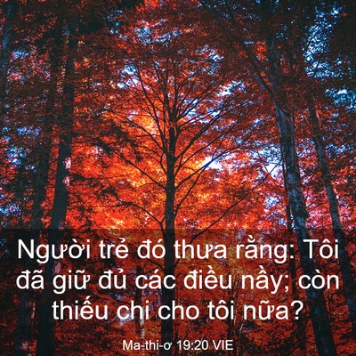 Picture 03 - Ma-thi-ơ 19:20 VIE - Người trẻ đó thưa rằng: Tôi đã giữ - Bible Verse Picture
