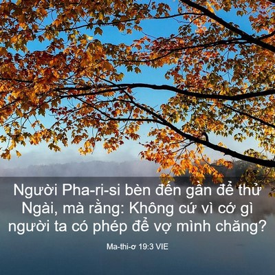Picture 03 - Ma-thi-ơ 19:3 VIE - Người Pha-ri-si bèn đến gần để thử - Bible Verse Picture
