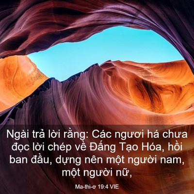 Picture 03 - Ma-thi-ơ 19:4 VIE - Ngài trả lời rằng: Các ngươi há chưa - Bible Verse Picture