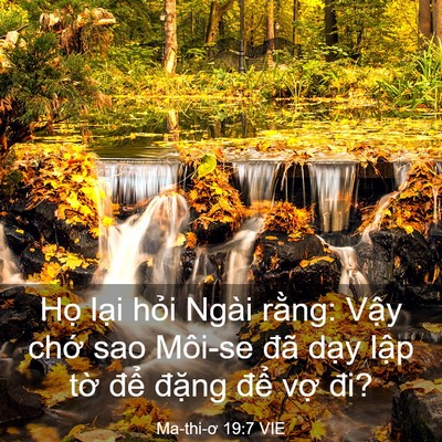 Picture 03 - Ma-thi-ơ 19:7 VIE - Họ lại hỏi Ngài rằng: Vậy chớ sao - Bible Verse Picture