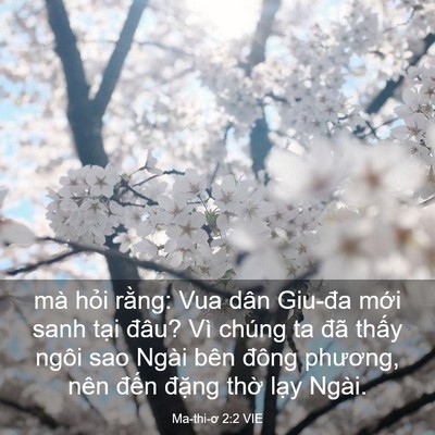 Picture 03 - Ma-thi-ơ 2:2 VIE - mà hỏi rằng: Vua dân Giu-đa mới sanh - Bible Verse Picture