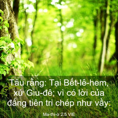 Picture 03 - Ma-thi-ơ 2:5 VIE - Tâu rằng: Tại Bết-lê-hem, xứ Giu-đê; - Bible Verse Picture