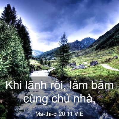 Picture 03 - Ma-thi-ơ 20:11 VIE - Khi lãnh rồi, lằm bằm cùng chủ - Bible Verse Picture