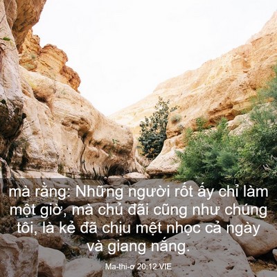 Picture 03 - Ma-thi-ơ 20:12 VIE - mà rằng: Những người rốt ấy chỉ - Bible Verse Picture
