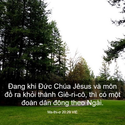 Picture 03 - Ma-thi-ơ 20:29 VIE - Đang khi Đức Chúa Jêsus và môn đồ ra - Bible Verse Picture