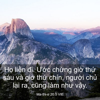 Picture 03 - Ma-thi-ơ 20:5 VIE - Họ liền đi. Ước chừng giờ thứ sáu - Bible Verse Picture