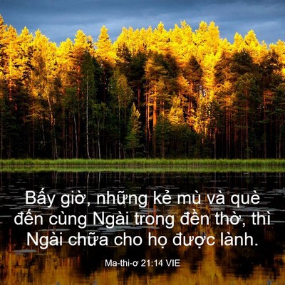Picture 03 - Ma-thi-ơ 21:14 VIE - Bấy giờ, những kẻ mù và què đến - Bible Verse Picture