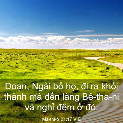 Picture 03 - Ma-thi-ơ 21:17 VIE - Đoạn, Ngài bỏ họ, đi ra khỏi thành - Bible Verse Picture