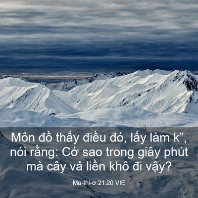 Picture 03 - Ma-thi-ơ 21:20 VIE - Môn đồ thấy điều đó, lấy làm k”, - Bible Verse Picture